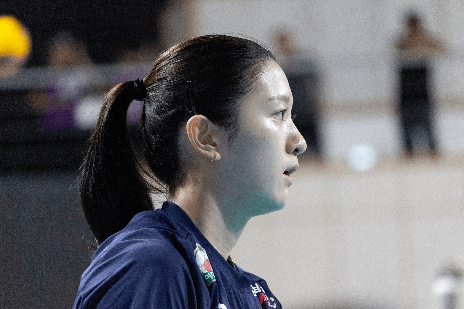 이다현(Lee Da-hyeon), 대한민국 여자 배구 선수 공개 라이선스 이미지